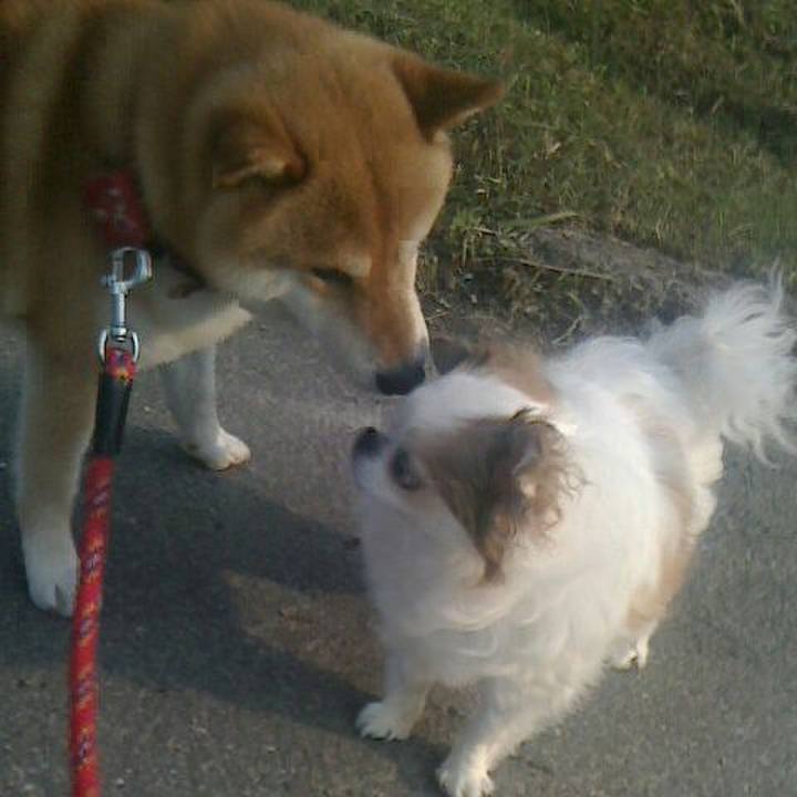 Ff8a9477 0913 4644 b480 6488873f358b