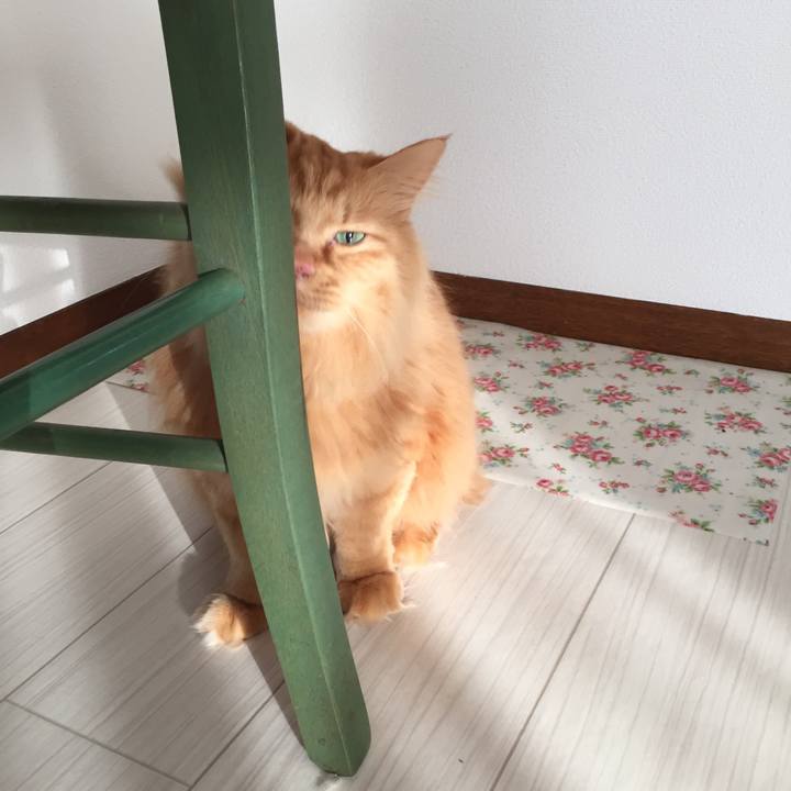 Ff8ac4d1 6850 40f3 8621 d7b1ae23ca03