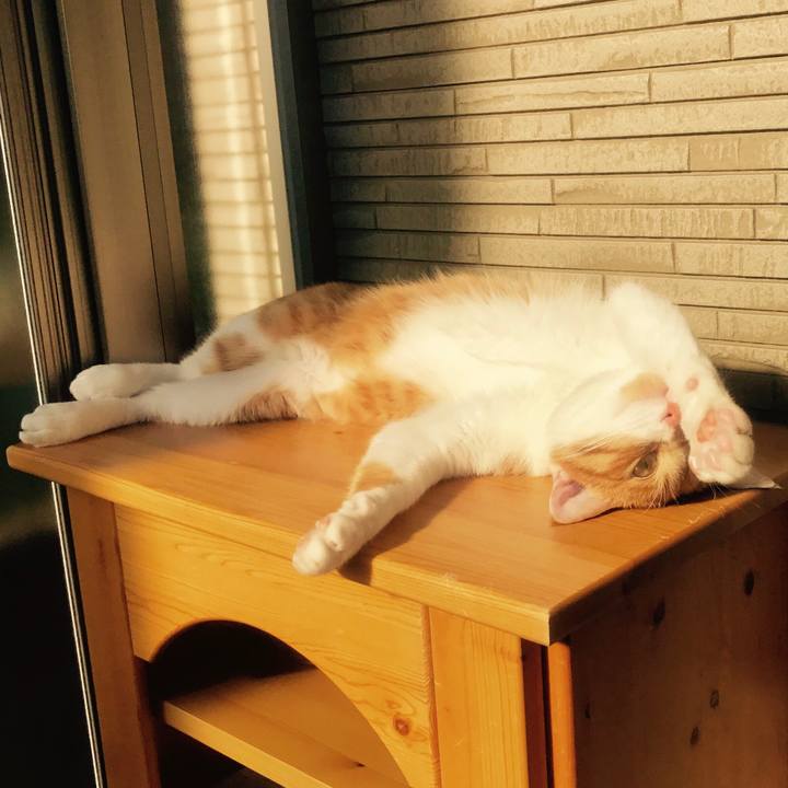 Ff8b0808 9dd2 4ec2 ba08 e05a1a580b7f