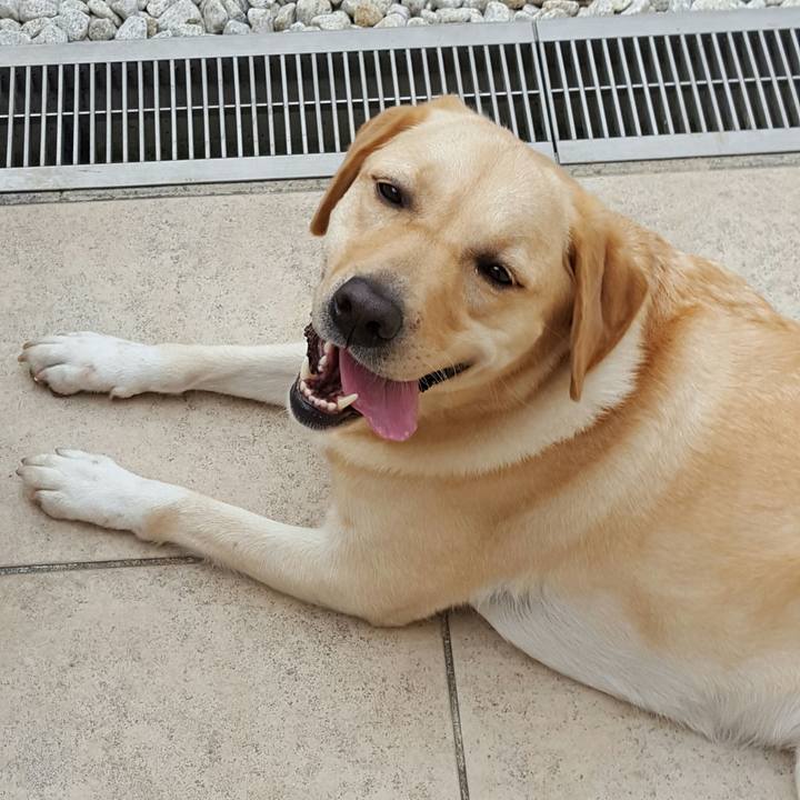 Ff8b874c 1a89 4aed 90ad cbe254f1528c