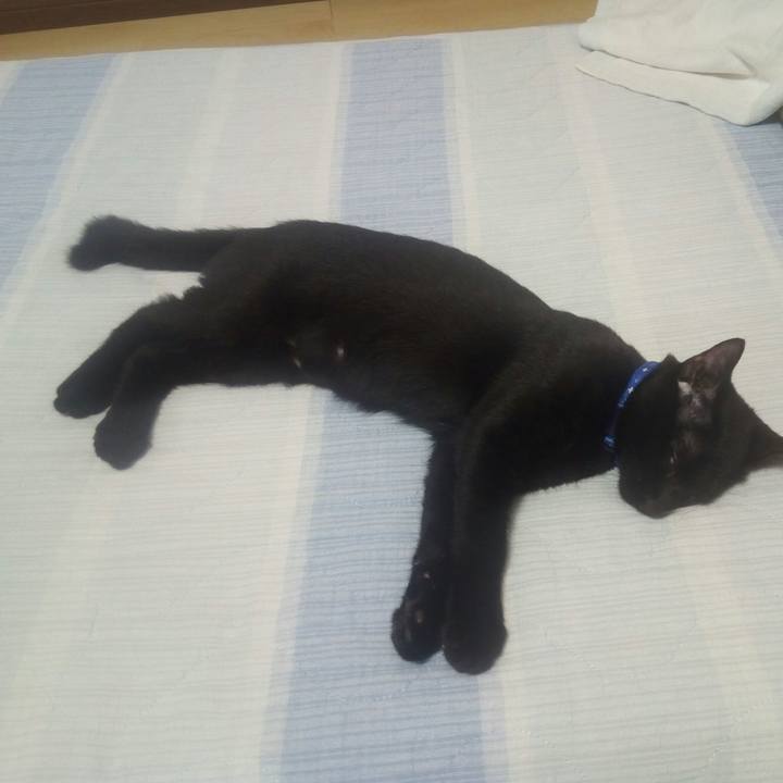 Ff8bdde4 0a25 4235 a379 79e6fb05340d