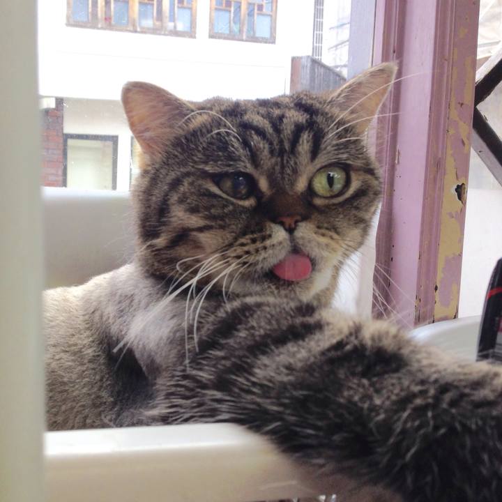 Ff8c69ae 5cc2 4df7 a635 a47361eb8957