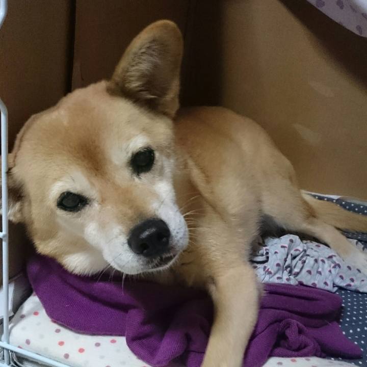 Ff8ccdb6 1784 4d29 a010 87cf532b9a42