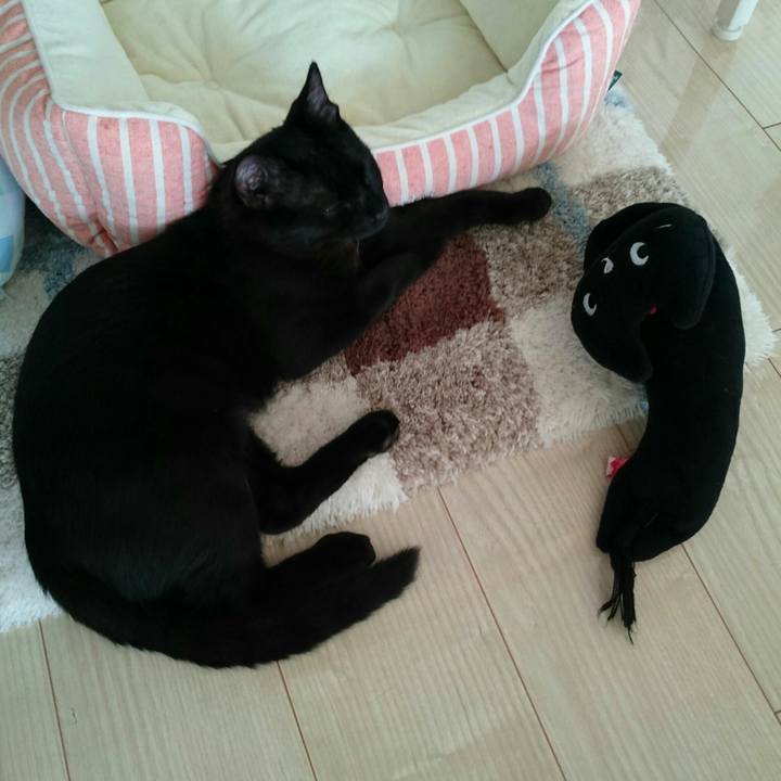 Ff8d11c3 df3e 4f92 9588 e943fecd2d61