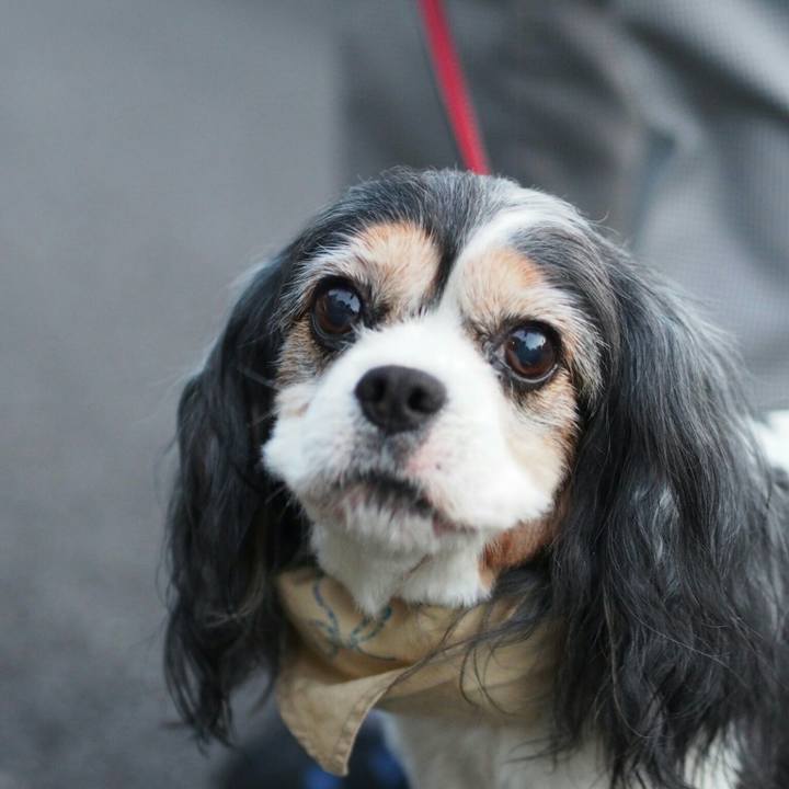 Ff8d445f 3326 4fcc aeb5 f313380709cd