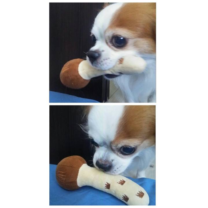 Ff8d4841 3b32 4da7 9448 aeaa9285d876