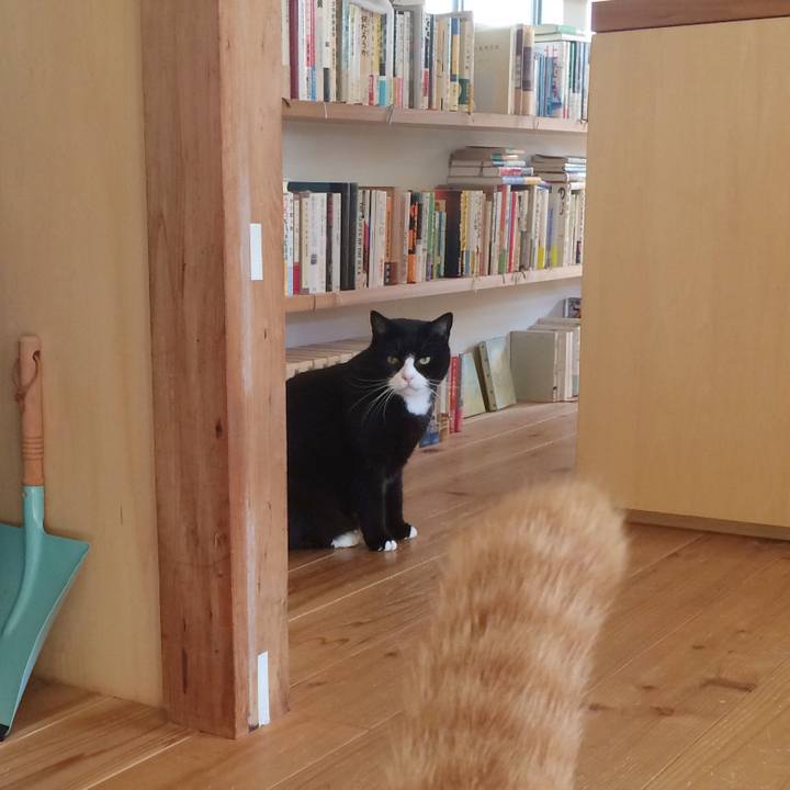 Ff8e10c6 00f0 4a9f be26 6275f3386b0c