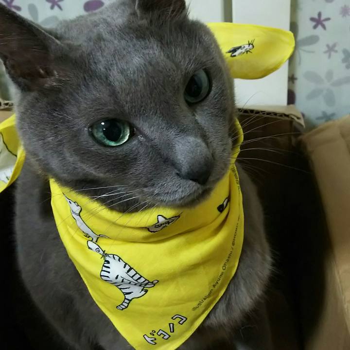 Ff8e7486 f39e 4d53 9be7 6c484c3be841