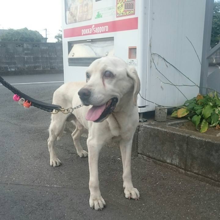 Ff8ee77c 91c9 4469 b081 5bff0916998e