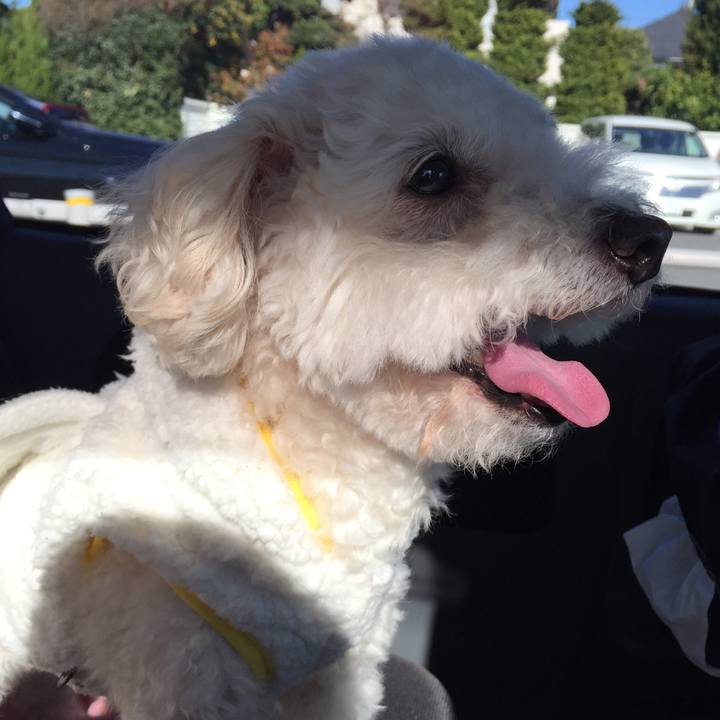 Ff8f5a6a 78b2 48da aa43 7c77cfb50490