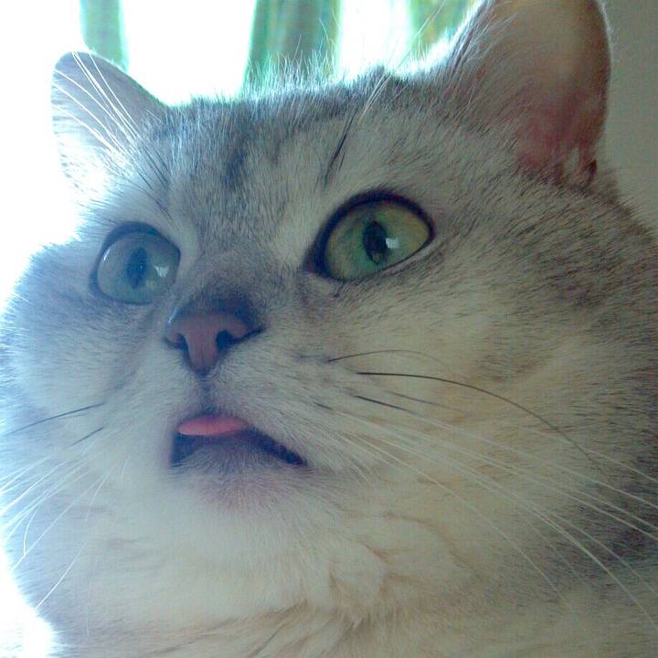 Ff8f8b99 1d7e 42b8 b28f 7abb21946541