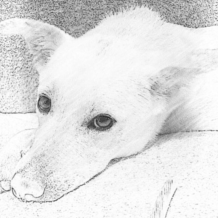 Ff8f9b8c b1d6 48c9 a885 37a6b922e37b