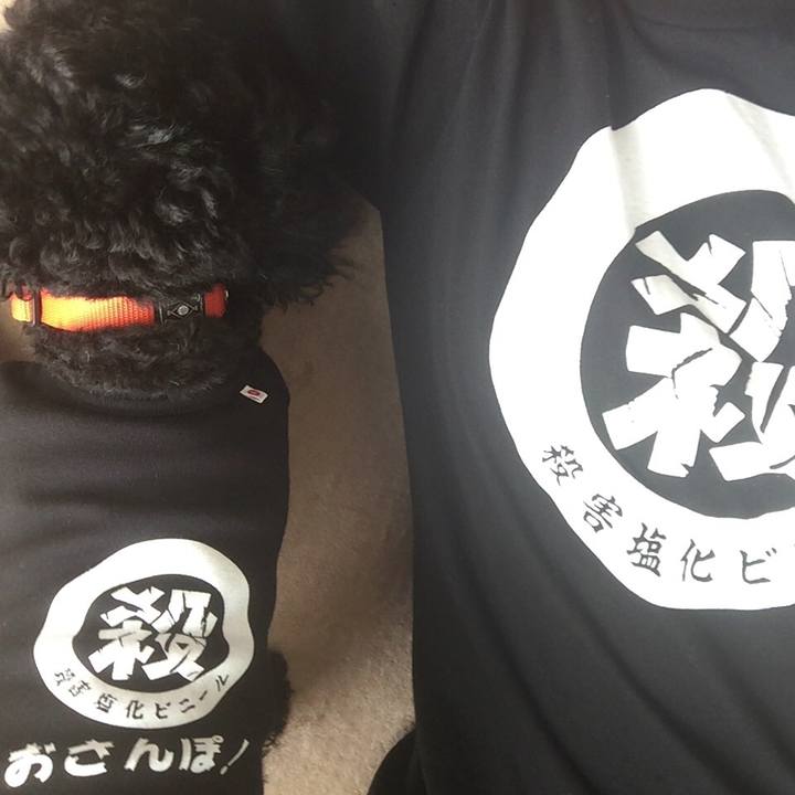 Ff8fd6b7 a97d 4bf2 adcd e0e938cbab87