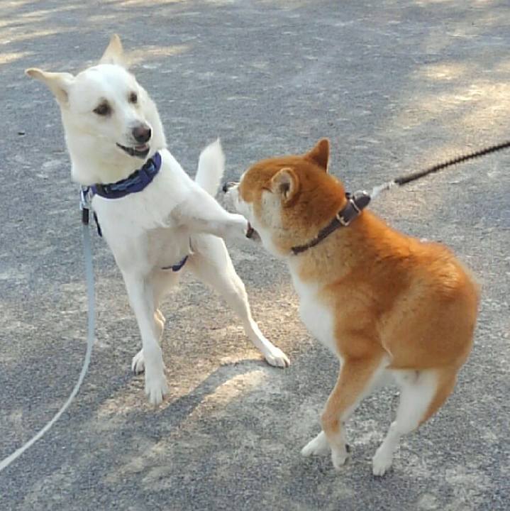 Ff9123ae 2aa7 4aae 9a42 a90cd84e792f