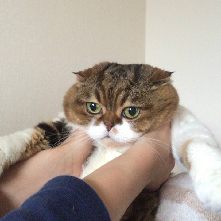 Ff91bfbf d8e4 4ec3 9965 edb383f39844