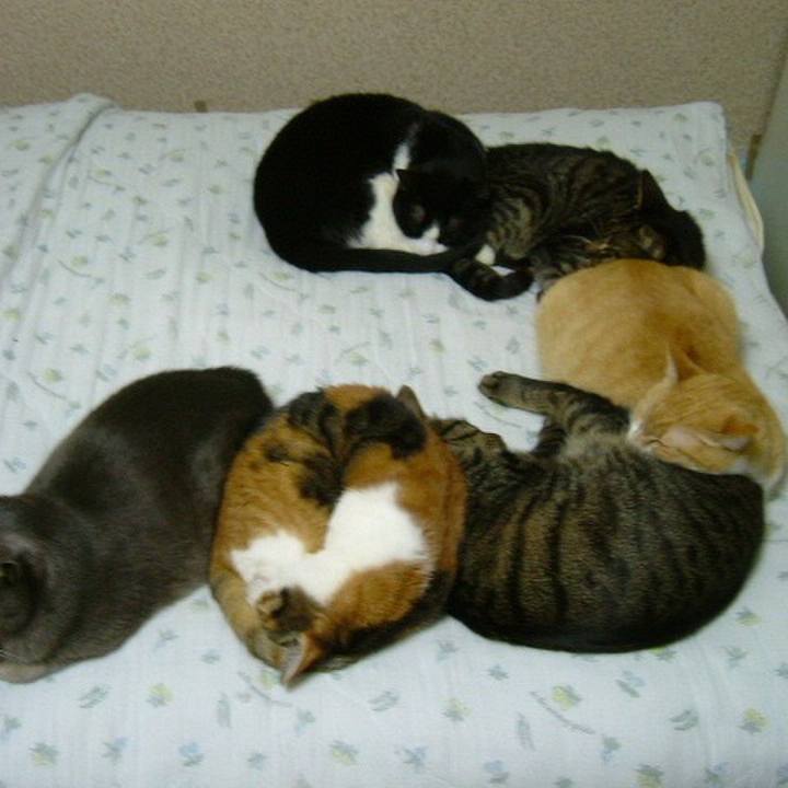 Ff922bee 5fb8 4974 bd59 5b600916fa54