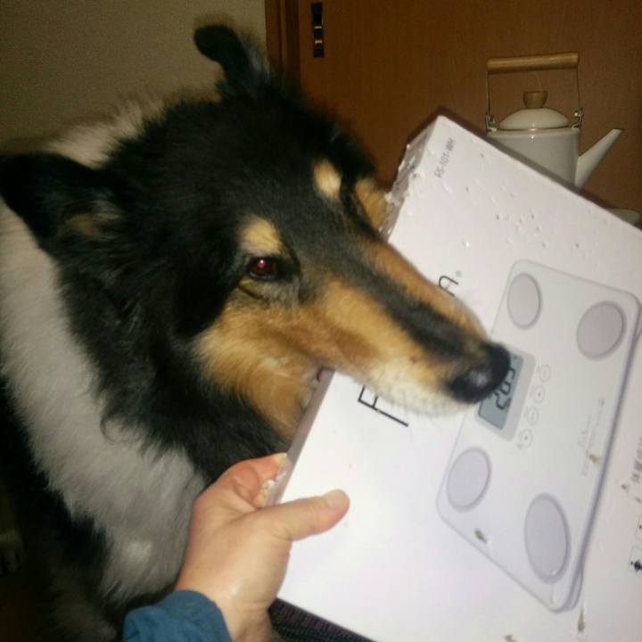 Ff9303a4 01af 4828 b2db ef5750f67de5