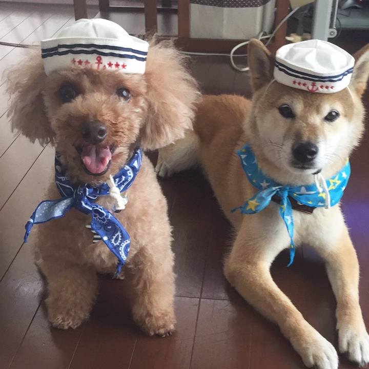 Ff93726a c26f 4f73 8f21 2ef7bc645538