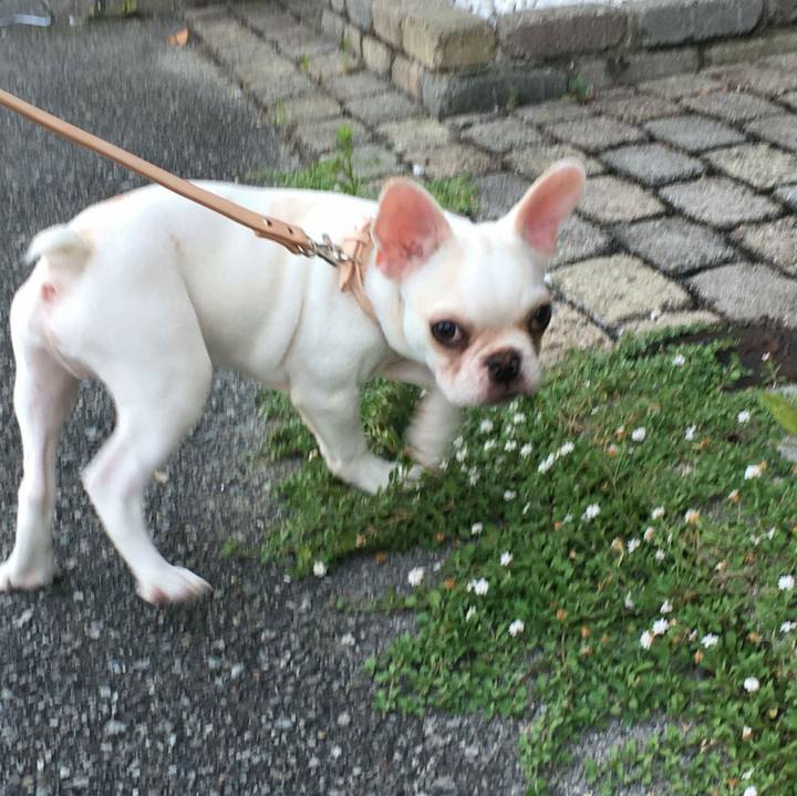 Ff93f3eb 74fe 4eef 9328 574990966baa