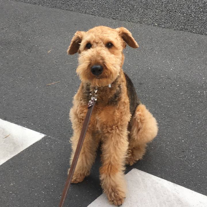 Ff9441cf 993a 44bc 837f 6b3414ca9ba3