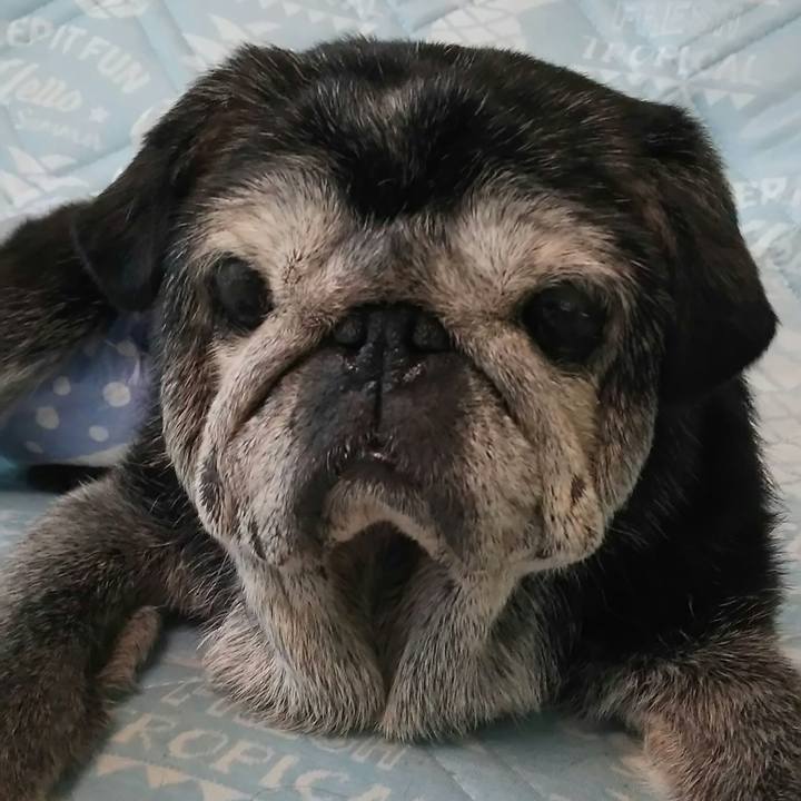 Ff94d934 fa1e 4ff4 92c7 78b14b2d5d62