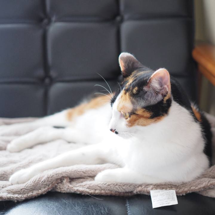 Ff953fe7 cd44 4e6c 9315 ae19024ceb64