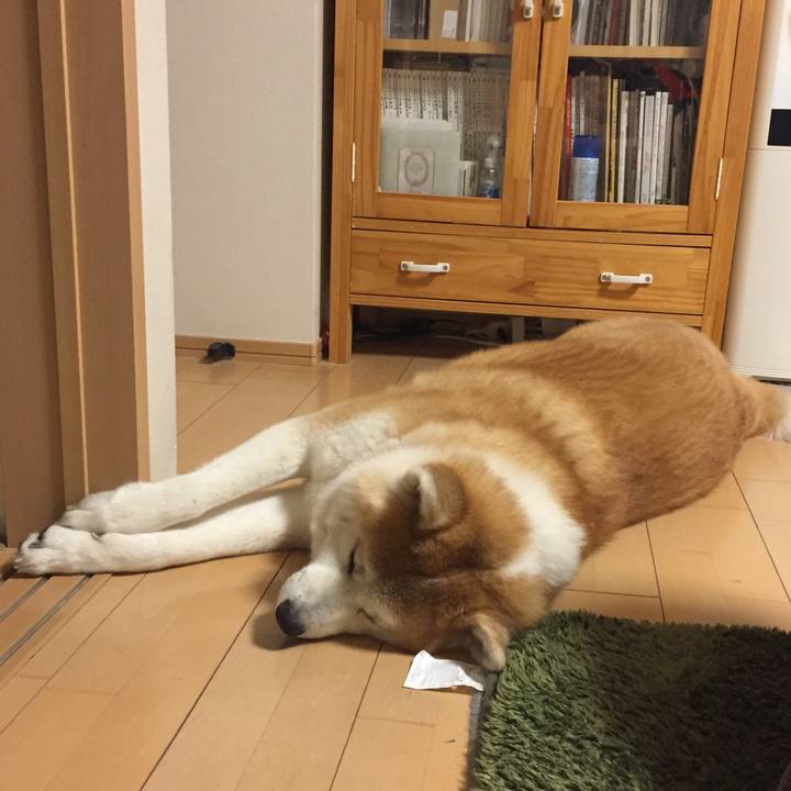 Ff95ef61 bd3b 40f0 af27 0da319b82d88