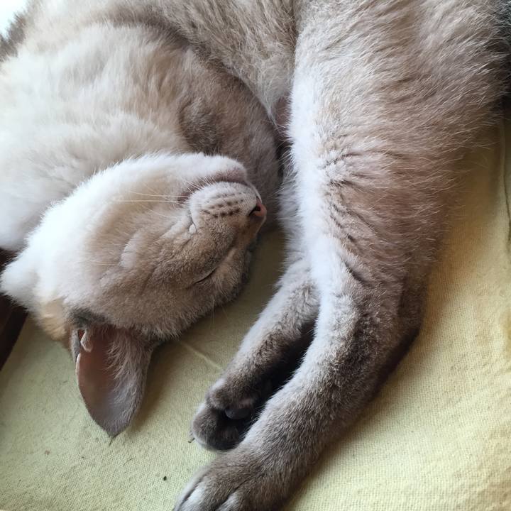 Ff962955 f14e 4b00 ac57 907195b3a20b