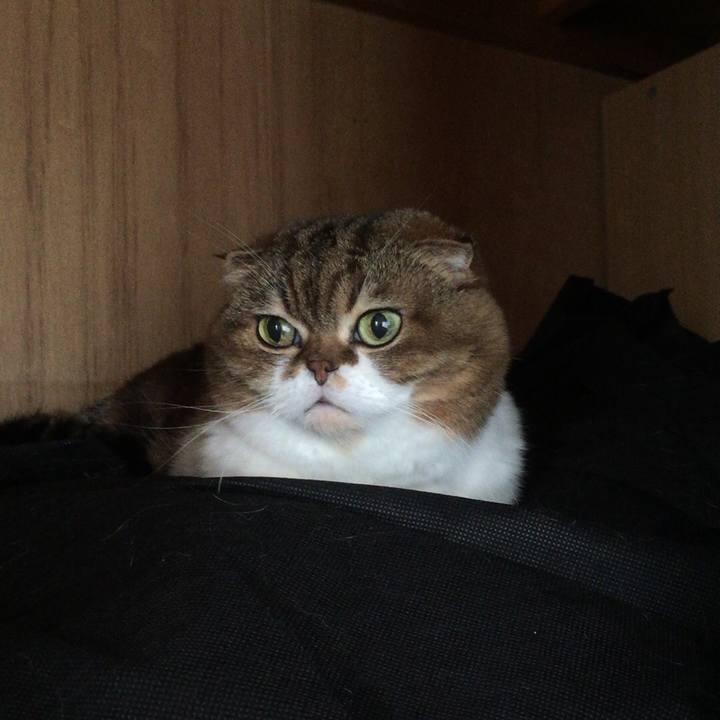 Ff965cf9 1c8f 4e79 a894 33b58f0c4dba