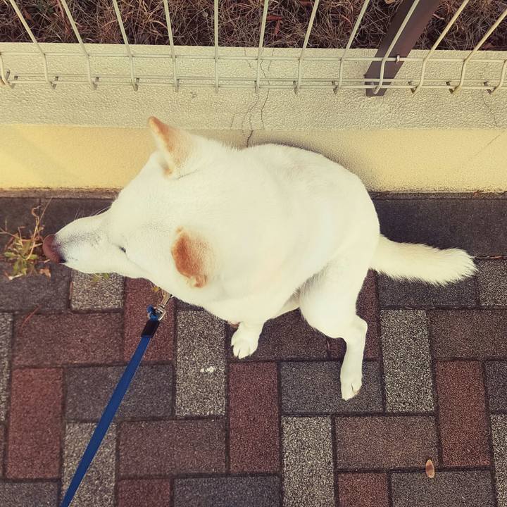 Ff97136f 77a2 4994 8c7b b22d04fb3120