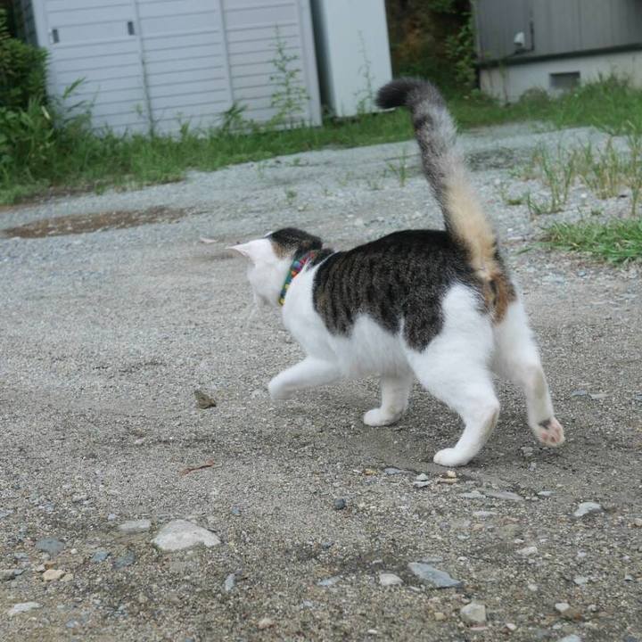 Ff9721ad 9212 4968 a39a 55883c84ddae