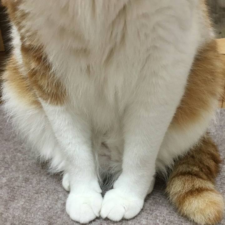 Ff979319 fdeb 4955 be4d 6cff21ff91c1