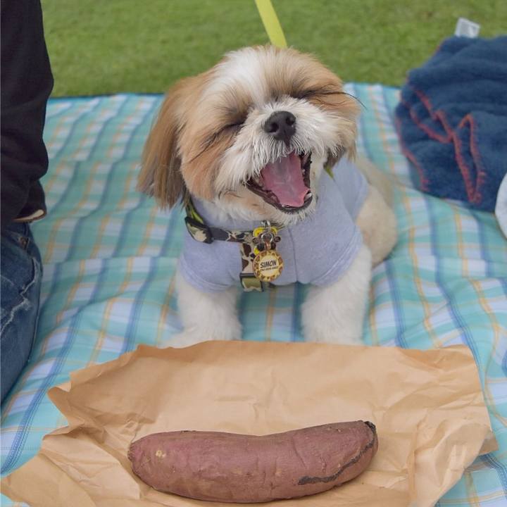 Ff97d225 2637 474c 8c83 bfc09a96dcf2