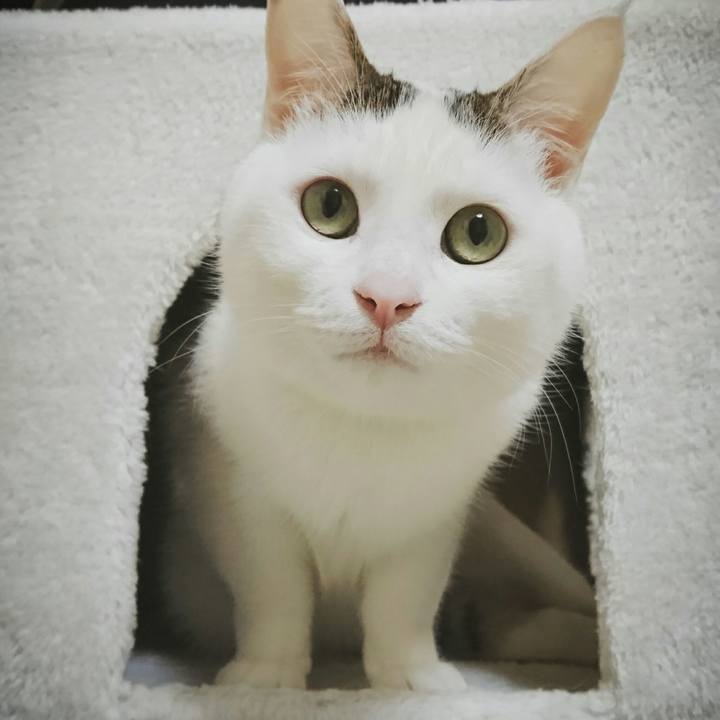 Ff97d338 e4b2 4740 94d0 66627c260920