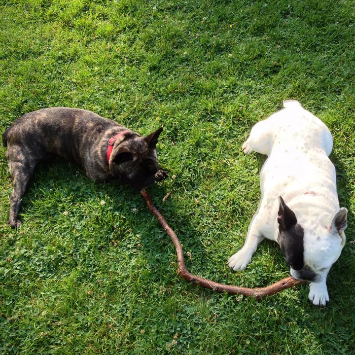 Ff989acd 944d 44c7 b5a1 0386e8865a12