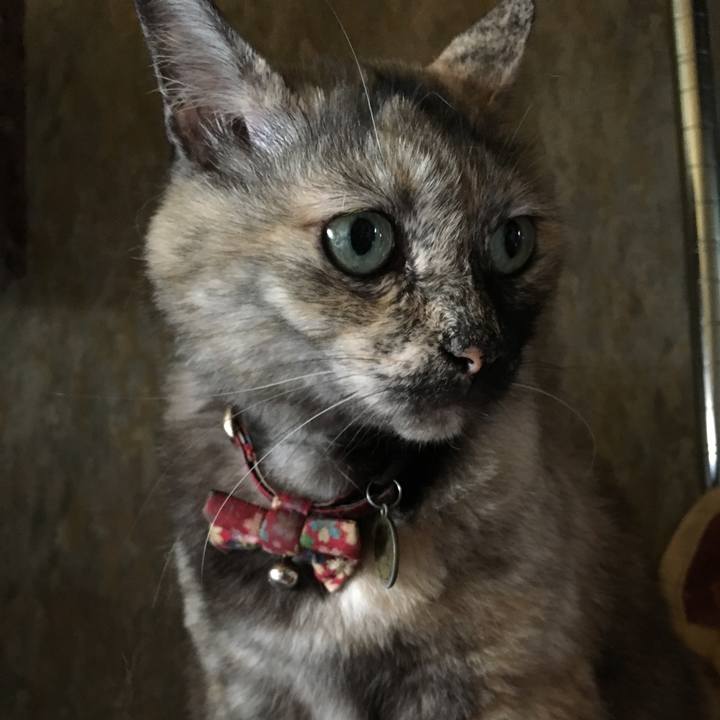 Ff98db96 6456 475f 8f13 dd7f7211300c