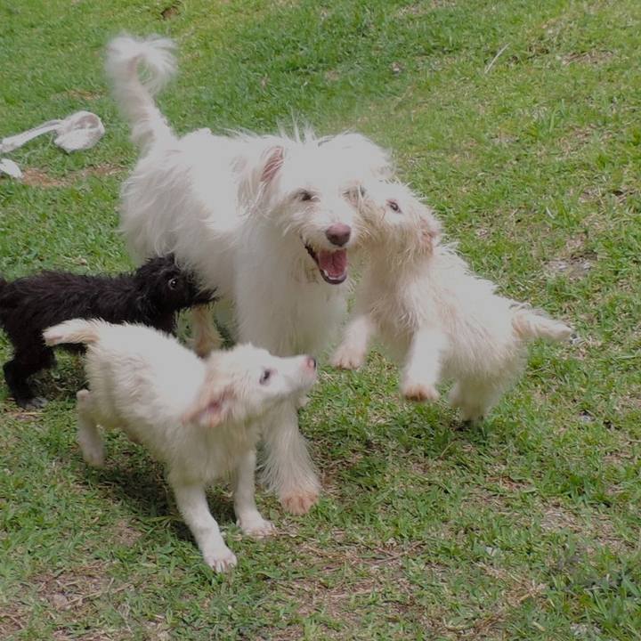 Ff9932ab 02fa 4b31 8979 1d7be0dc59b2