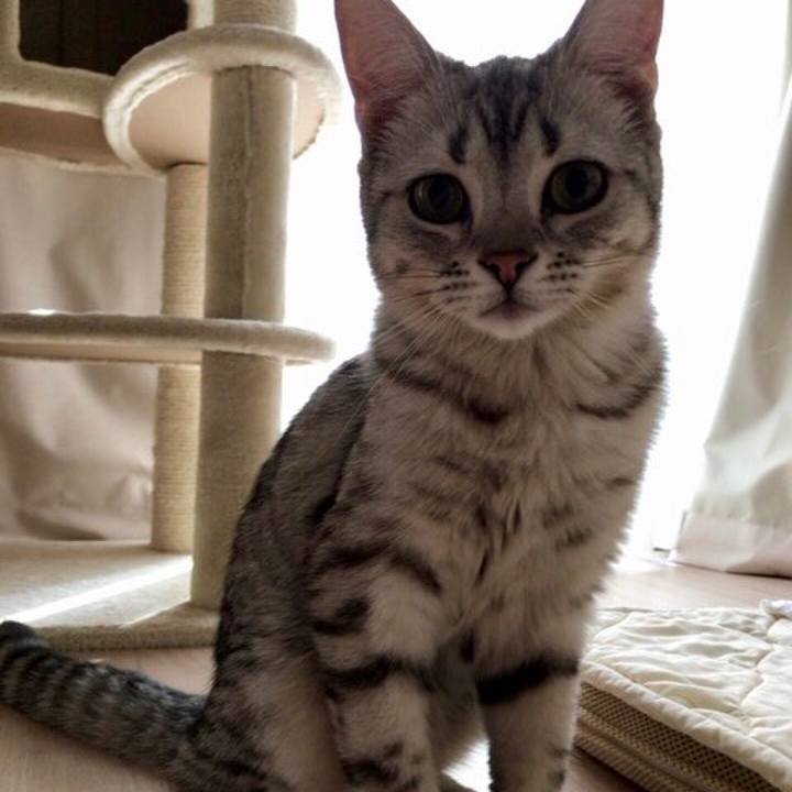 Ff997bfd d58b 461f b47a 2bd7a2b2a6b1