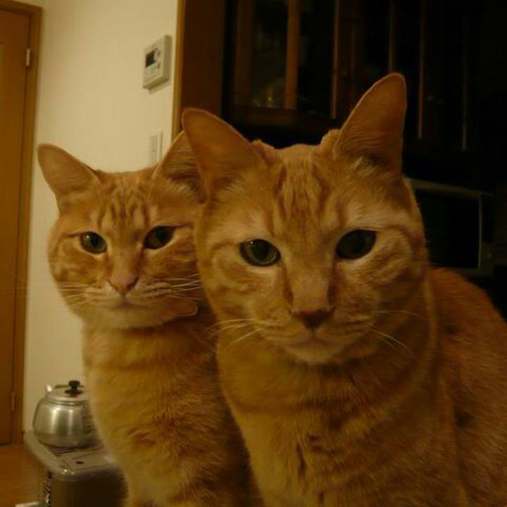 Ff999ad9 5437 4ba3 a49f 5412a77fce10