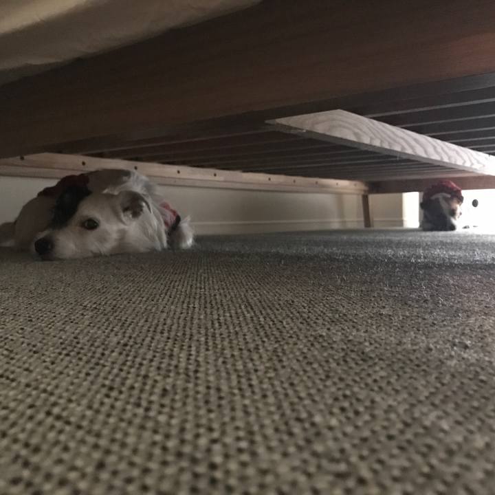 Ff9a1932 d8d6 42b6 83ca 1553583a4439