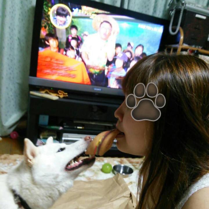 Ff9a45d7 026a 41e0 9609 f7f93451e711