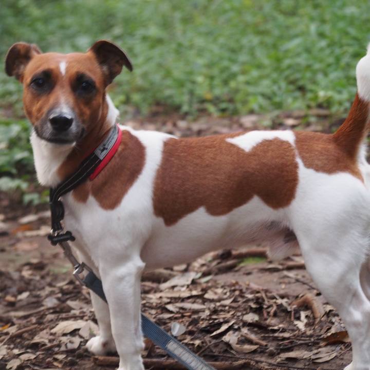 Ff9a5c95 66d9 464d 8744 897e9dbc6ec4