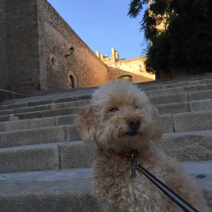 Ff9a7c85 28c4 4521 8926 64e7e52c7bcb