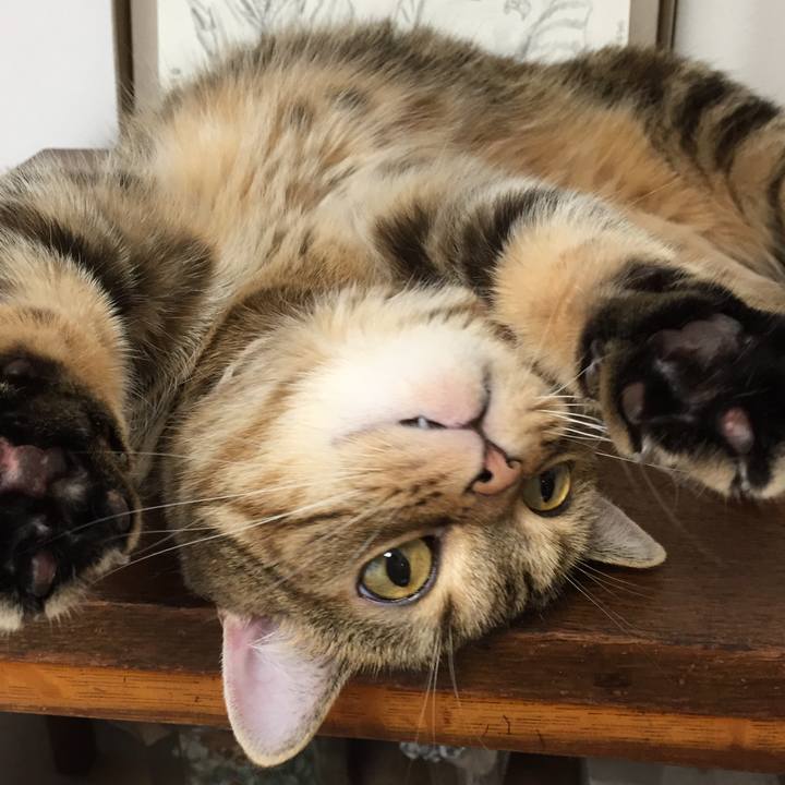 Ff9aa136 5447 4b82 a68c 7487834f2fe2