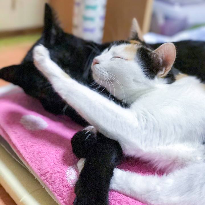 Ff9accf9 102e 4155 b58f 8d1f79a021c9