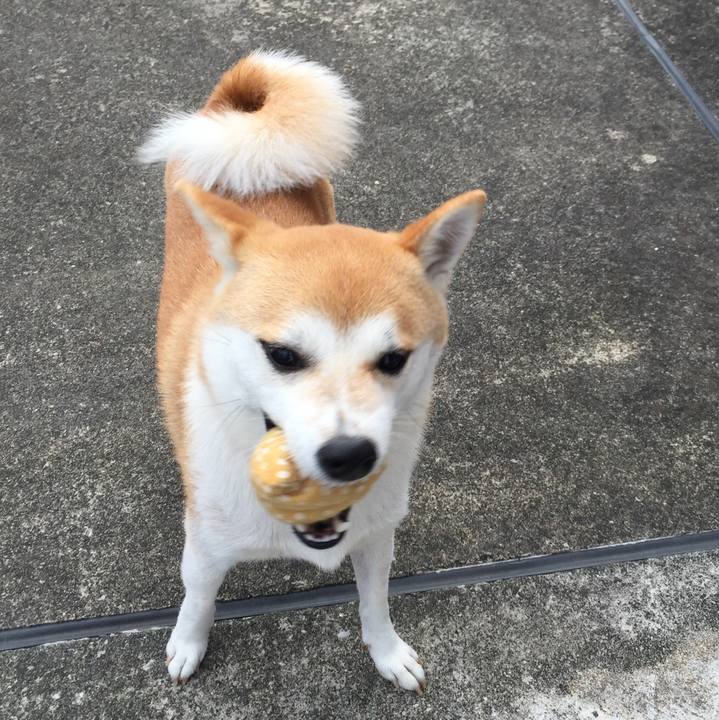 Ff9aff27 add4 4525 a93f 44cc58e2015f