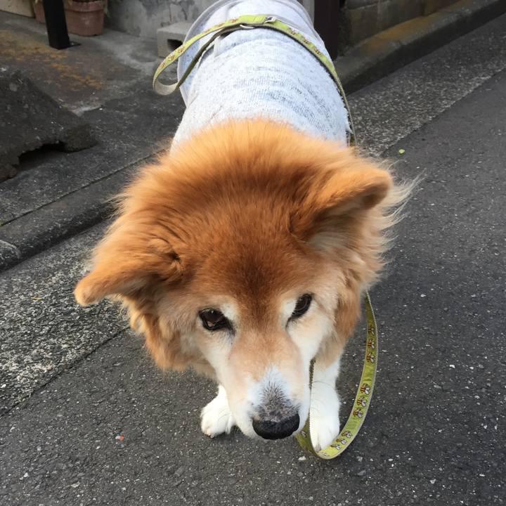 Ff9b6f10 8ed4 4cfa 94b5 a347b614e622