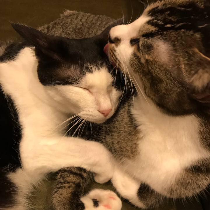 Ff9bdfb1 c581 41a8 b503 b5ffeb1eea2c