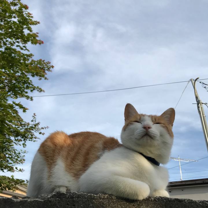 Ff9c786a f9d0 4021 8749 bb5a7e2d8cb2