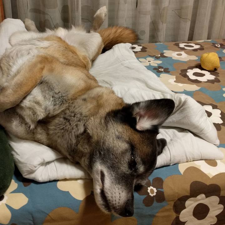 Ff9c815b 4fb2 466d bae6 86de46f263d6